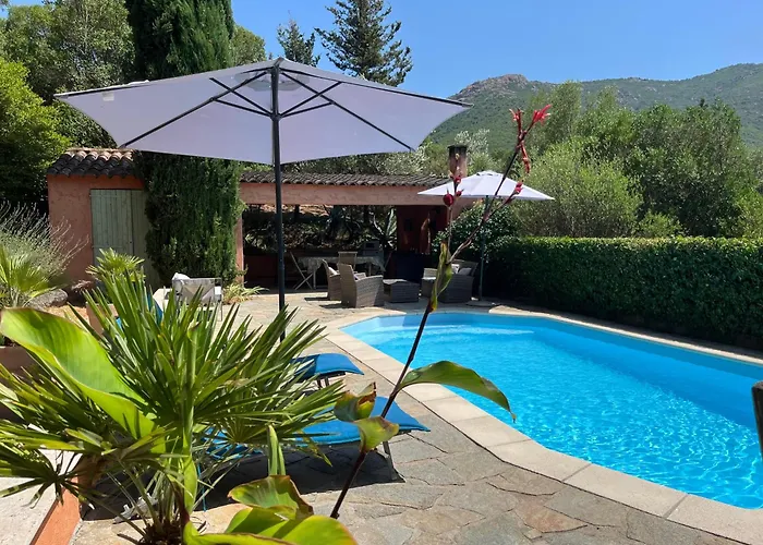 Casa De Patarra Gite Dans Le Maquis Avec Piscine Privee